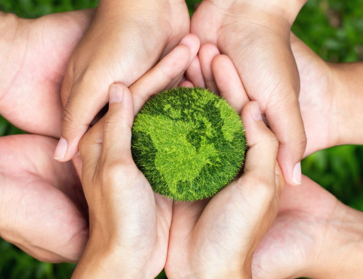 Creating Value for Society